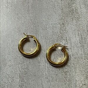 Chic Gold Hoop Earrings
